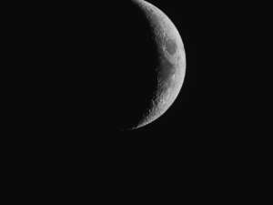 Astrological Prognosis for the Next class=